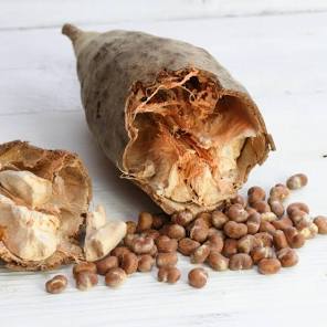 Baobabolie - Afbeelding 3